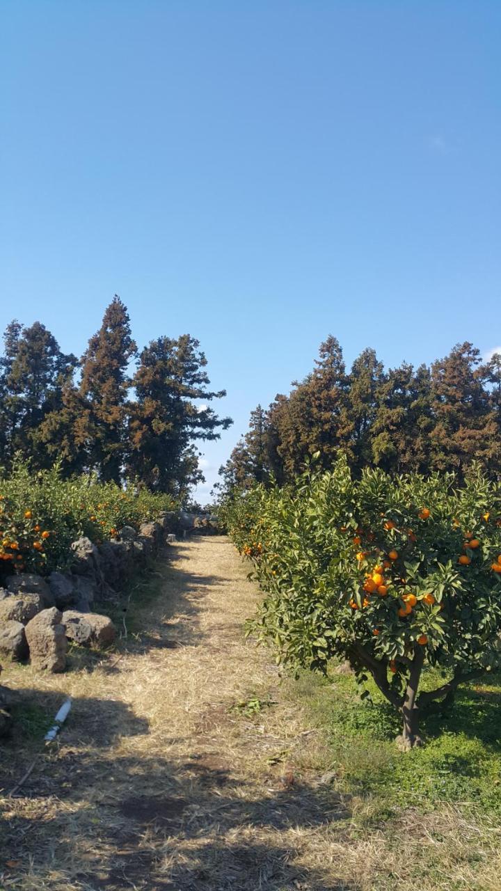 Jeju Mermuri Yerye-dong Extérieur photo