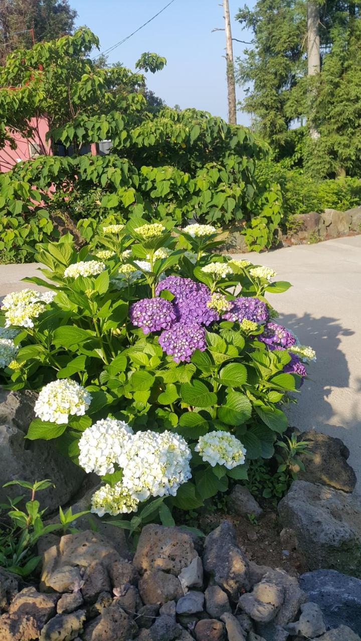 Jeju Mermuri Yerye-dong Extérieur photo