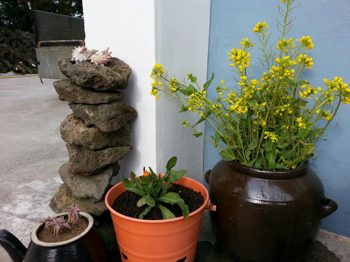Jeju Mermuri Yerye-dong Extérieur photo