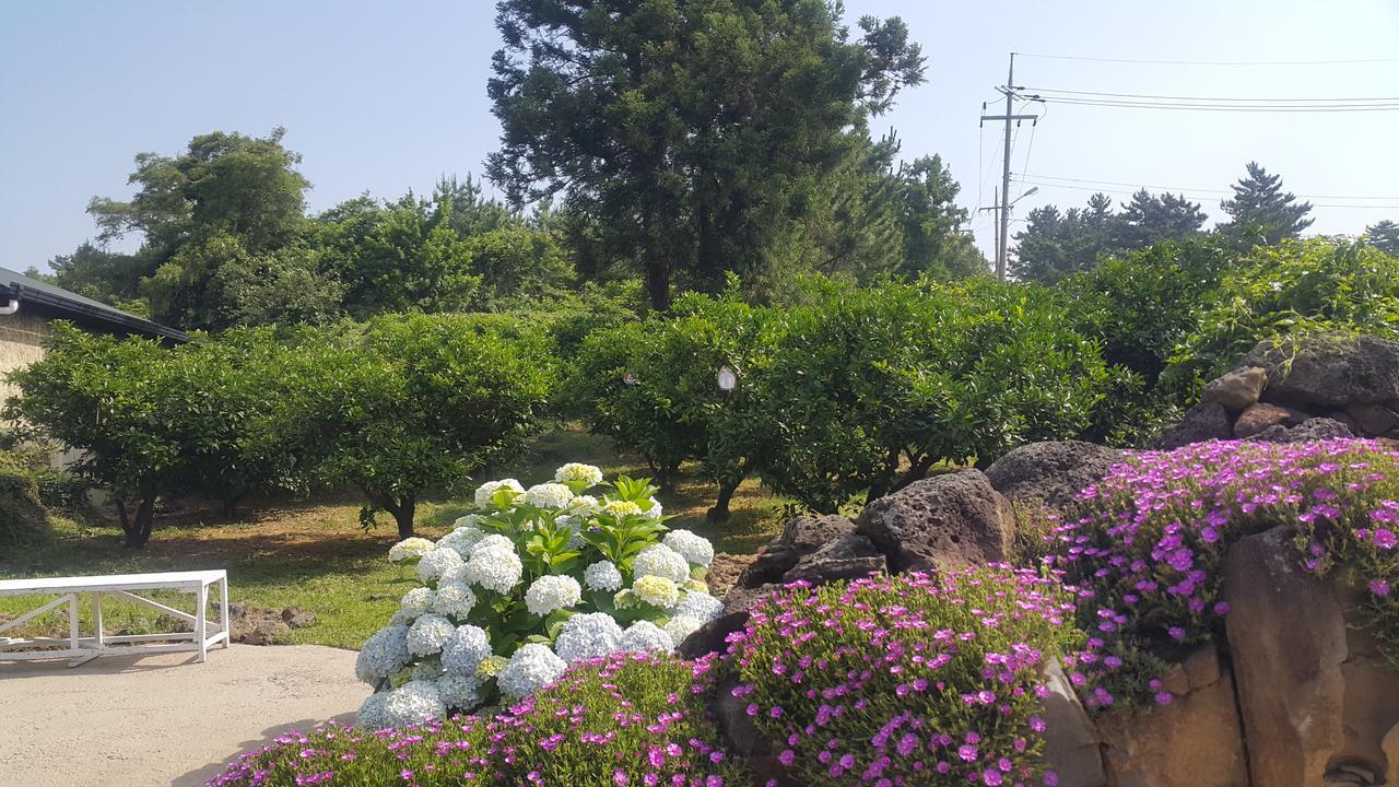 Jeju Mermuri Yerye-dong Extérieur photo