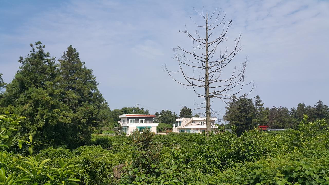 Jeju Mermuri Yerye-dong Extérieur photo