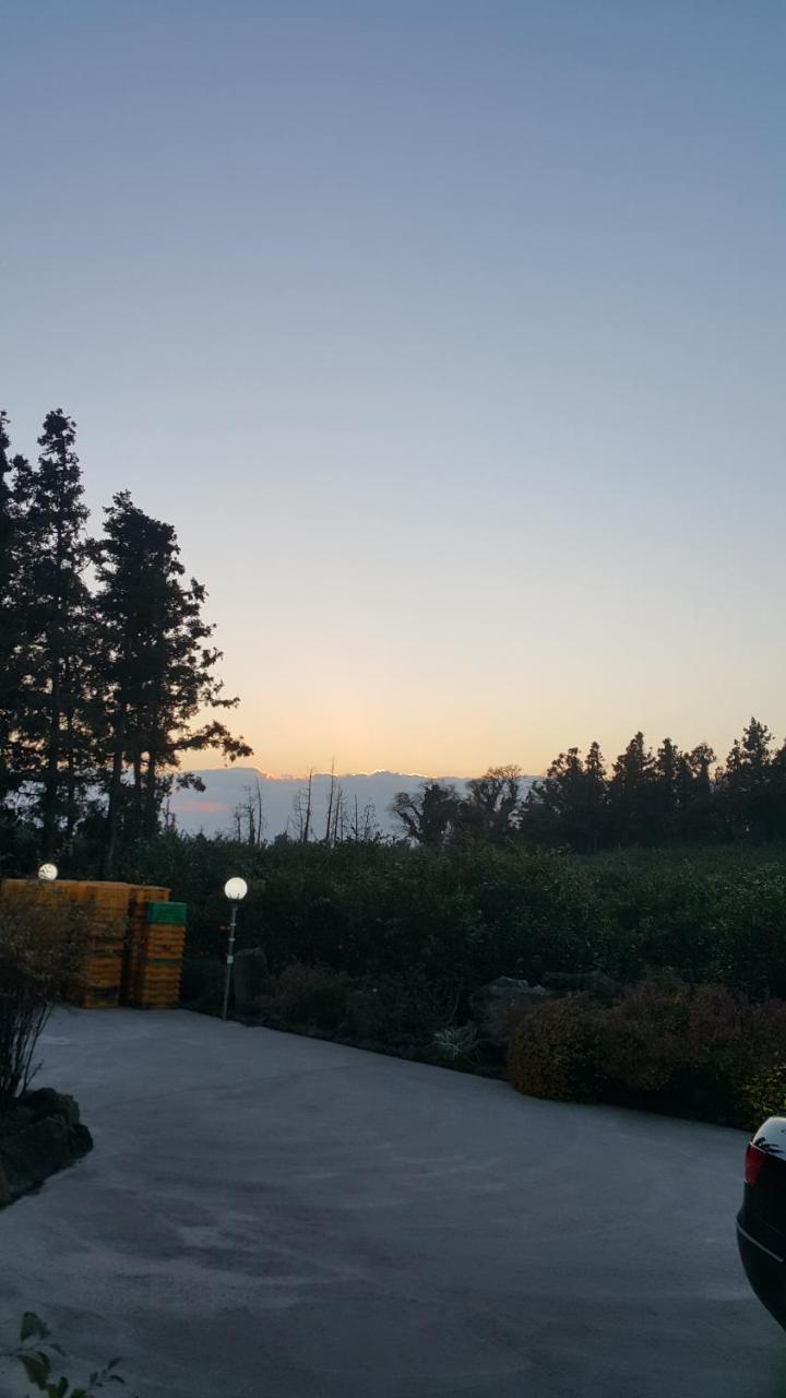 Jeju Mermuri Yerye-dong Extérieur photo
