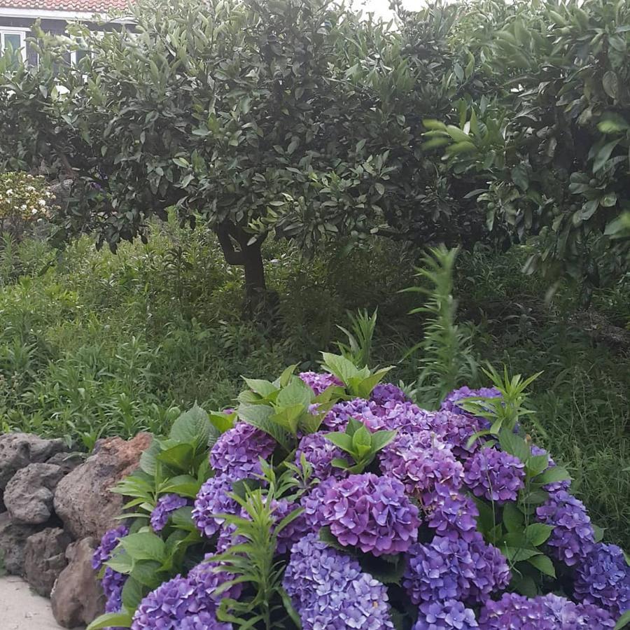 Jeju Mermuri Yerye-dong Extérieur photo
