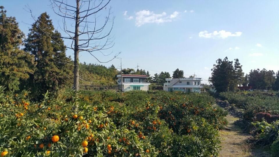 Jeju Mermuri Yerye-dong Extérieur photo