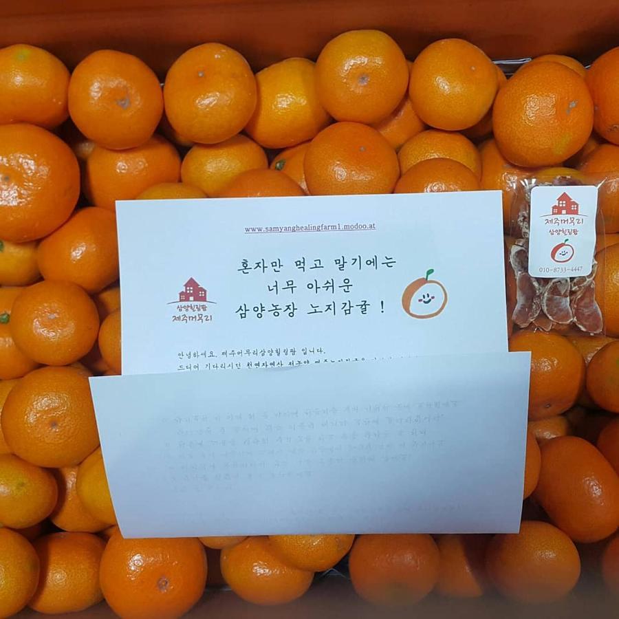Jeju Mermuri Yerye-dong Extérieur photo